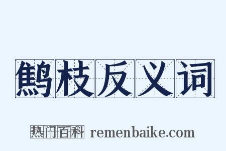 鹪枝反义词是什么意思的图片